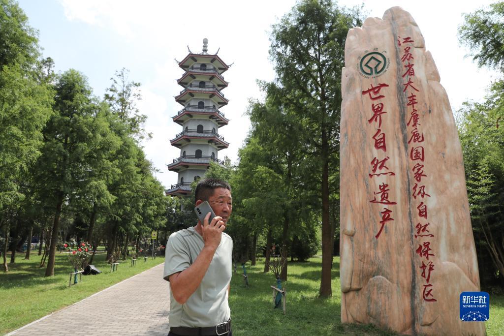 百胜网投手机领导者